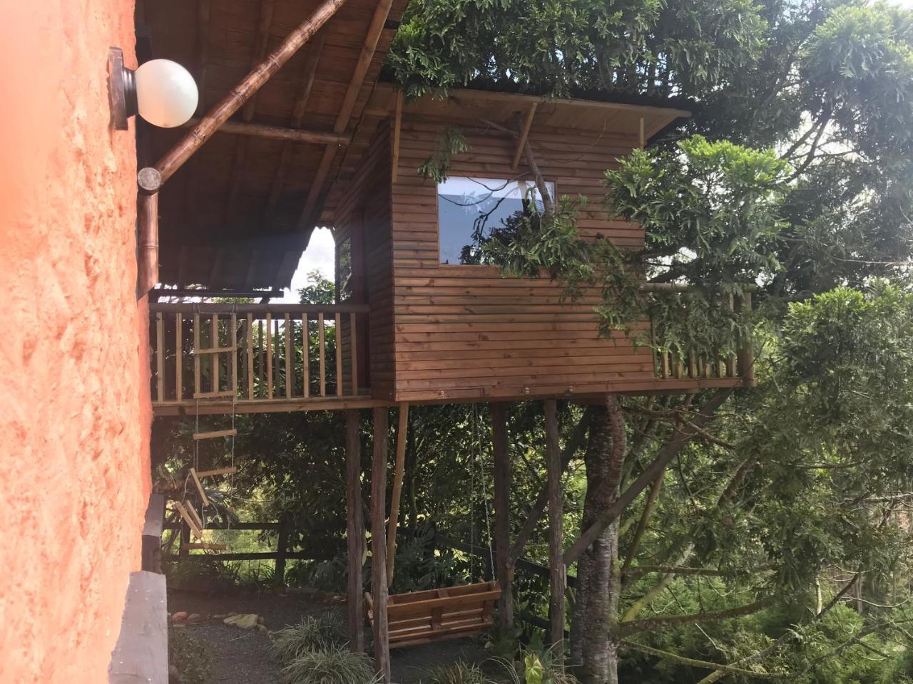 Santa Elena De La Colina Villa Filandia Exterior photo